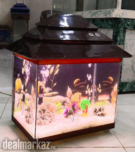 DHC Aquarium Services