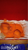 Original Gidar Singhi pair