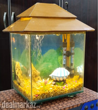 Mini Tetra's Villa