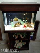Wooden Fish Aquarium