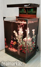 Betta & Gold fish House