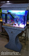 Wooden Vivarium