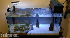 DHC Mini Planted Aquarium