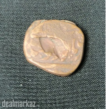 Old Ancient Coin Insanely old
