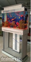 DHC Fancy Aquarium