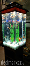 Wooden Tower Aquarium