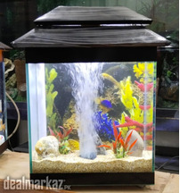 Baby Fish Aquarium