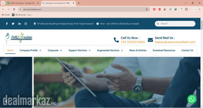 Business Consulting Firm Offer Online Services | AMU Consultant