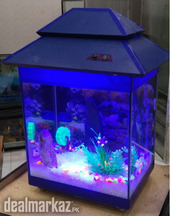 Blue Mini Fishtank