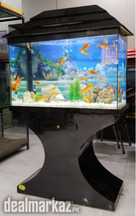 Black Fancy Aquarium