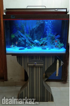 Red & Brown Aquarium