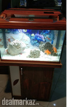Wooden Cabinet Aquarium