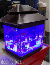 Brownie Aquarium