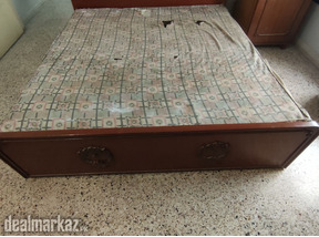 Master Molty Orthopedic Mattress