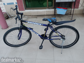 Phoenix Bicycles for sale