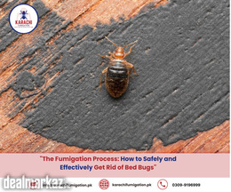 Karachi Fumigation services