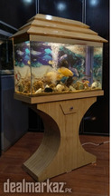 Fancy Wooden Aquarium
