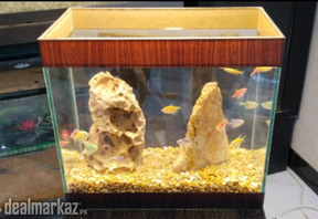 Tetra's Mini Home
