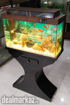 Wooden Aquarium with gllass top