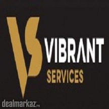 Top-Rated Security Services Provider | Vibrant Security Services