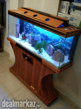 Beautiful Aquarium