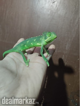 Sale sale sale lizard