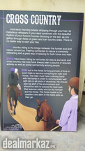 Equestrian Posters