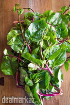 Malabar Spinach Seeds