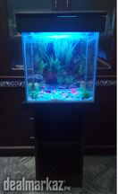 Aquarium for sale