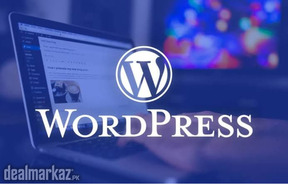 Web Developer ( Wordpress ).
