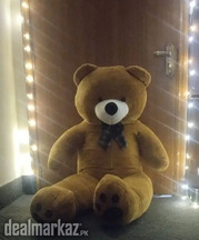 Teddy Bears/Big Size Teddy Bear/Stuff Toys/Birthday/anniversary Gift