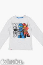 LEGO Graphic Print T-shirt with Long Sleeves