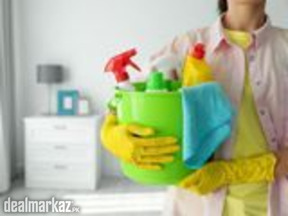 maids and domestic services