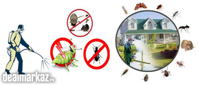 Accurate Water Tank Cleaning Services