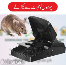 Best Quality 2 Pcs Mouse Trap or Mouse Catcher indoor outdoor