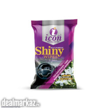 10 piece shiney wibes for car delivery in whole Pakistan