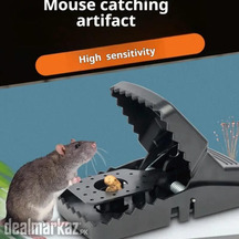 Mouse Trap Rat Catcher