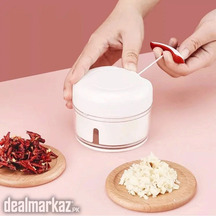 Mini garlic chopper
