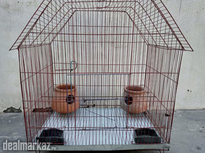 Parrot Cage For Sale | Birds Cage | Pinjra | Totay