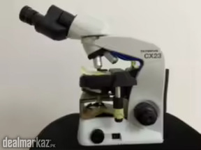 Olympus Microscope - Binocular NSL - CX23 Olympus (Japan)