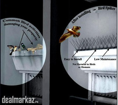 ANTI REPELLENT Bird Spikes Barrier In Pakistan