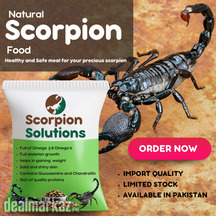 Scorpion food for instant growth