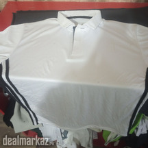 Polo shirt for men