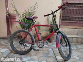 Bicycle Phoenix For Boys