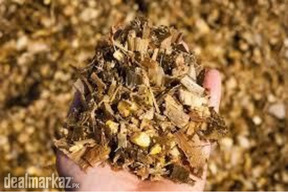 Corn Silage Now Available at Zarea Limited