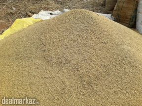 Mustard Kuttal | Available at Zarea Limited |