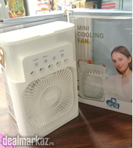 Mist fan 10 inches