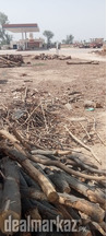 Commercial plot