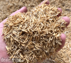 Rice Husk Now Available | Zarea Limited