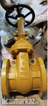 Gate Valve #150 Brand GV 2"